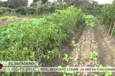 Vídeo: Huertos Ecológicos