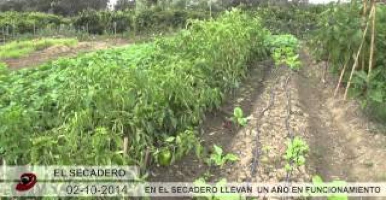 Vídeo: Huertos Ecológicos
