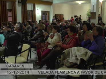 Vídeo: Velada flamenca a favor de Cáritas