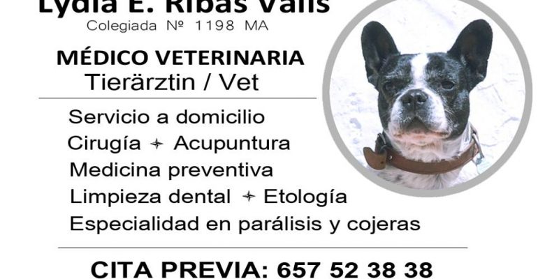 Amigos Peludos – Parásitos