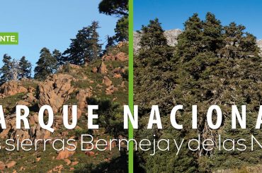 17.04.26 Tierra – Recogida de firmas Sierra Bermeja Parque Nacional