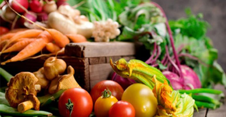17.05.03 Tierra – Alimentos ecológicos