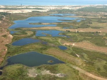 17.06.14 Tierra – Escasez de agua en Doñana