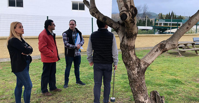 Informativos en Radio Casares | 18 de febrero de 2020
