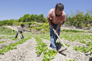 Tierra | Situación de la agricultura y la ganadería