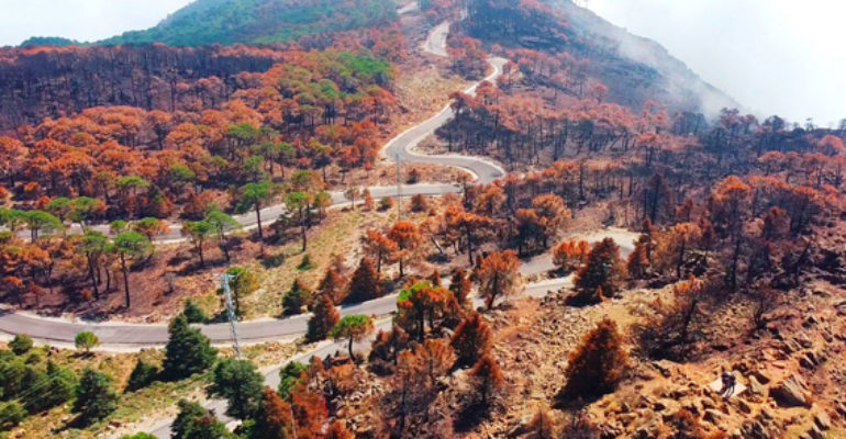 Punto de vista | Javier Martos – Incendios 6ª Generación