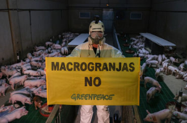 Tierra | La macrogranja de Castilléjar