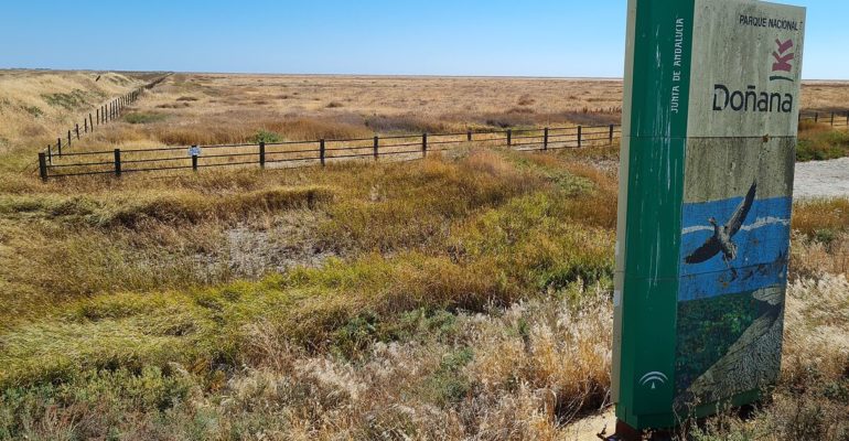 Tierra | Doñana se muere de sed