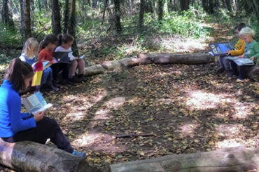 Punto de vista de Auxi Gil |Cómo funciona la naturaleza