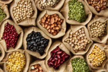 Somos lo que comemos | Proteína vegetal