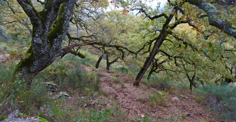 Tierra | Depuradora en el Parque Natural de Grazalema
