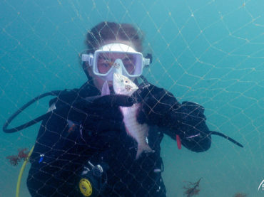 La ONG Equilibrio Marino retira una red ilegal y libera varias especies en aguas de Casares
