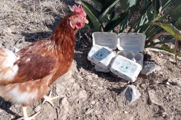 La granja de huevos Loma La Jordana galardonada por su aportación a la gastronomía malagueña
