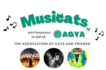<strong>Musicats une música y cultura para proteger a las colonias de felinos callejeros</strong>