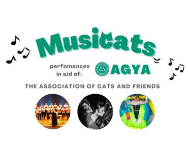 <strong>Musicats une música y cultura para proteger a las colonias de felinos callejeros</strong>
