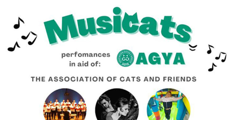 <strong>Musicats une música y cultura para proteger a las colonias de felinos callejeros</strong>