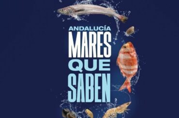 <strong>Campaña de concienciación pesquera la próxima semana en Playa Ancha</strong>