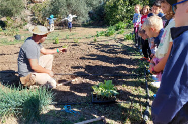 Escolares del CEIP Los Almendros de Secadero  se acercan a las labores tradicionales del campo gracias al proyecto educativo de  Crestellina