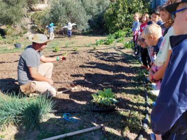 Escolares del CEIP Los Almendros de Secadero  se acercan a las labores tradicionales del campo gracias al proyecto educativo de  Crestellina