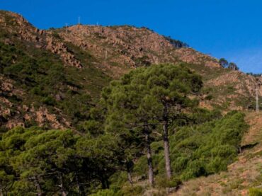 Informativos en Radio Casares | 6 de febrero de 2024