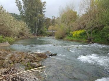 Tierra | Extracciones ilegales en el Río Guadiaro