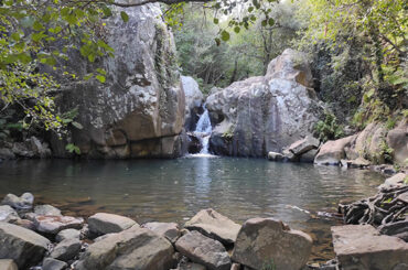 Los Caminantes | Río de la Miel
