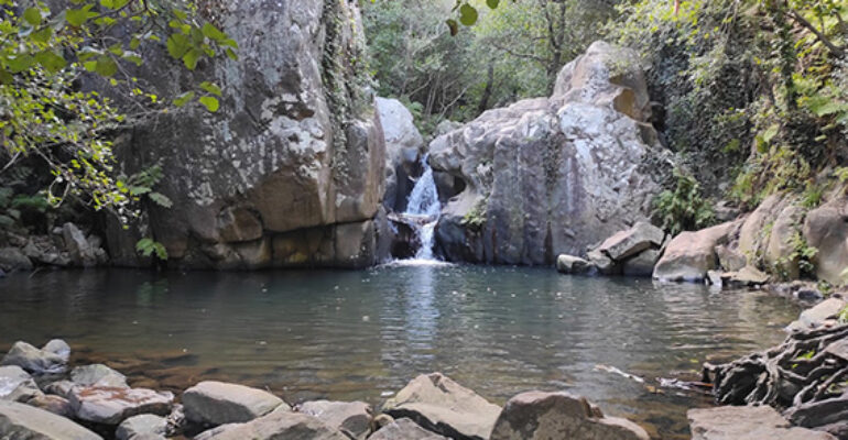 Los Caminantes | Río de la Miel