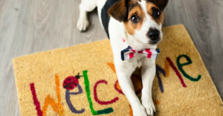 Mi Familia y Otros Animales | La llegada de un nuevo miembro