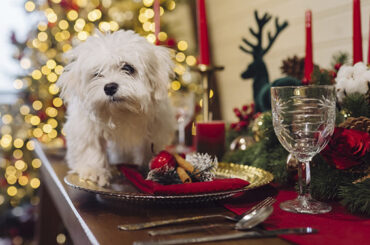 Mi familia y otros animales | Menús navideños