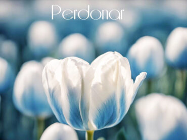 Mujeres extraordinarias | El perdón