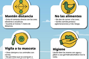 Informativos en Radio Casares | 17 de septiembre de 2025