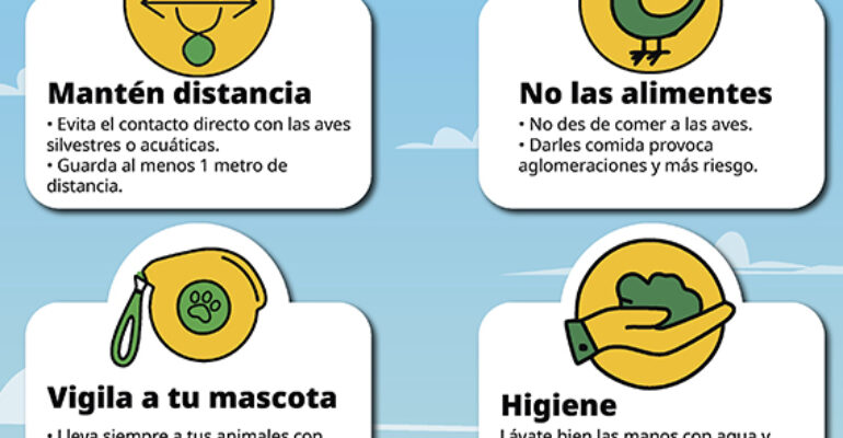 Informativos en Radio Casares | 17 de septiembre de 2025