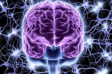 Hoy descubres | La sinfonía del cerebro
