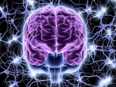 Hoy descubres | La sinfonía del cerebro