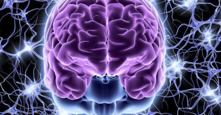Hoy descubres | La sinfonía del cerebro